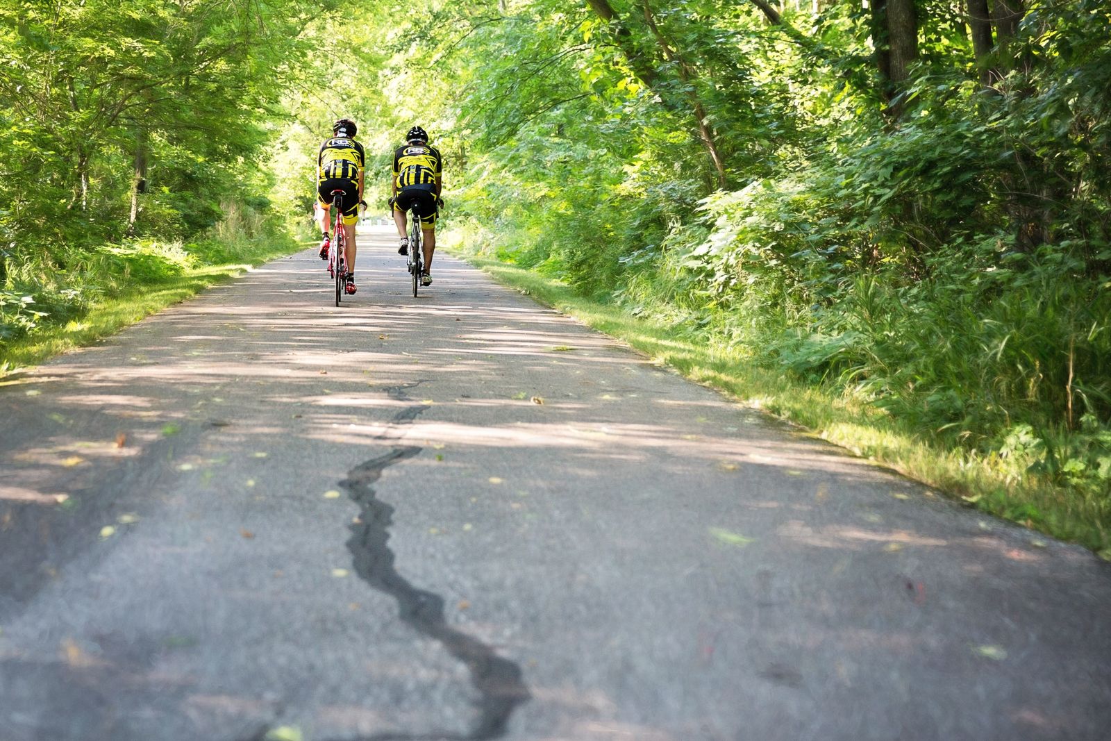 Two cyclists riding together on a tree-lined path