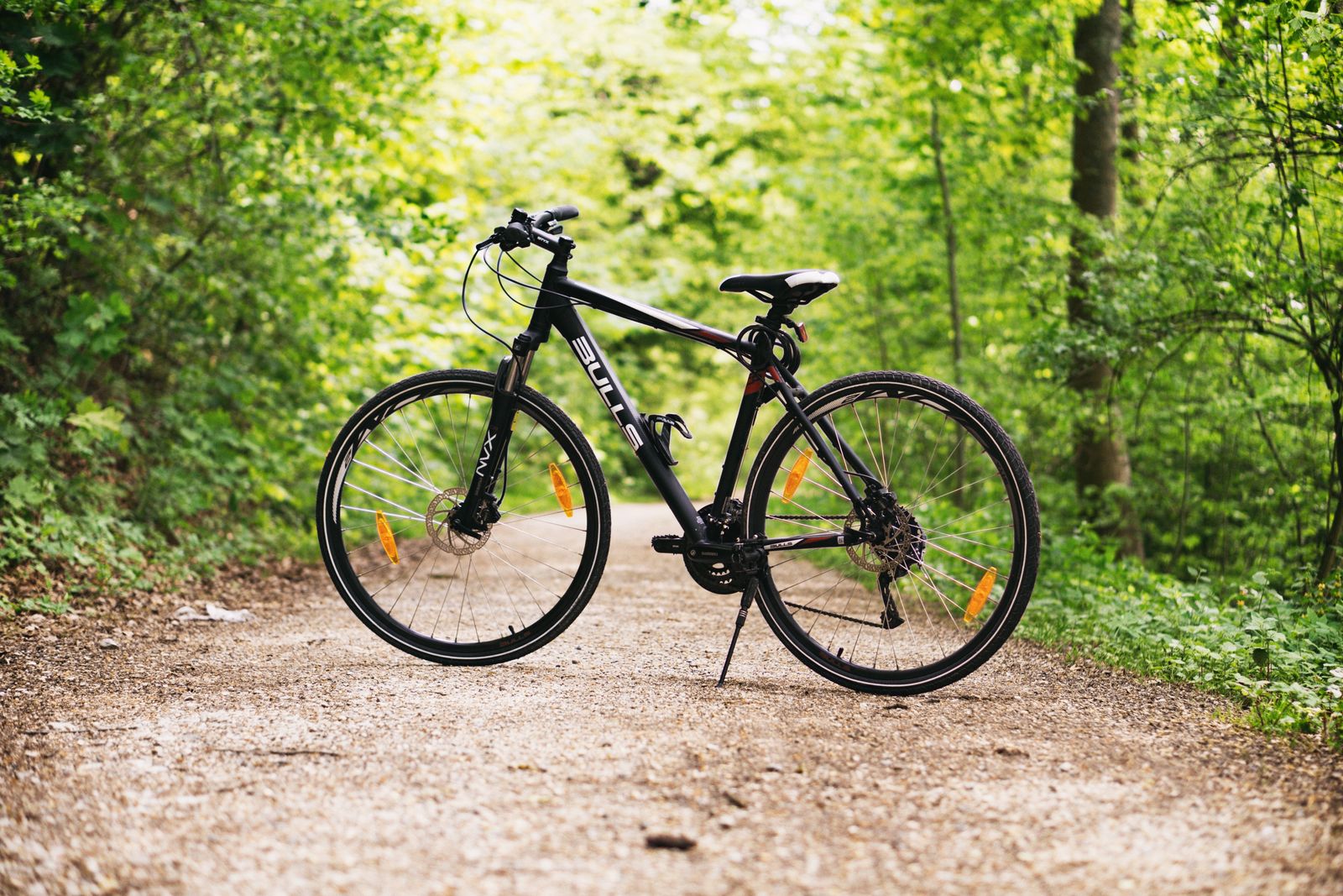 Black bicycle standing on a sunlit forest path